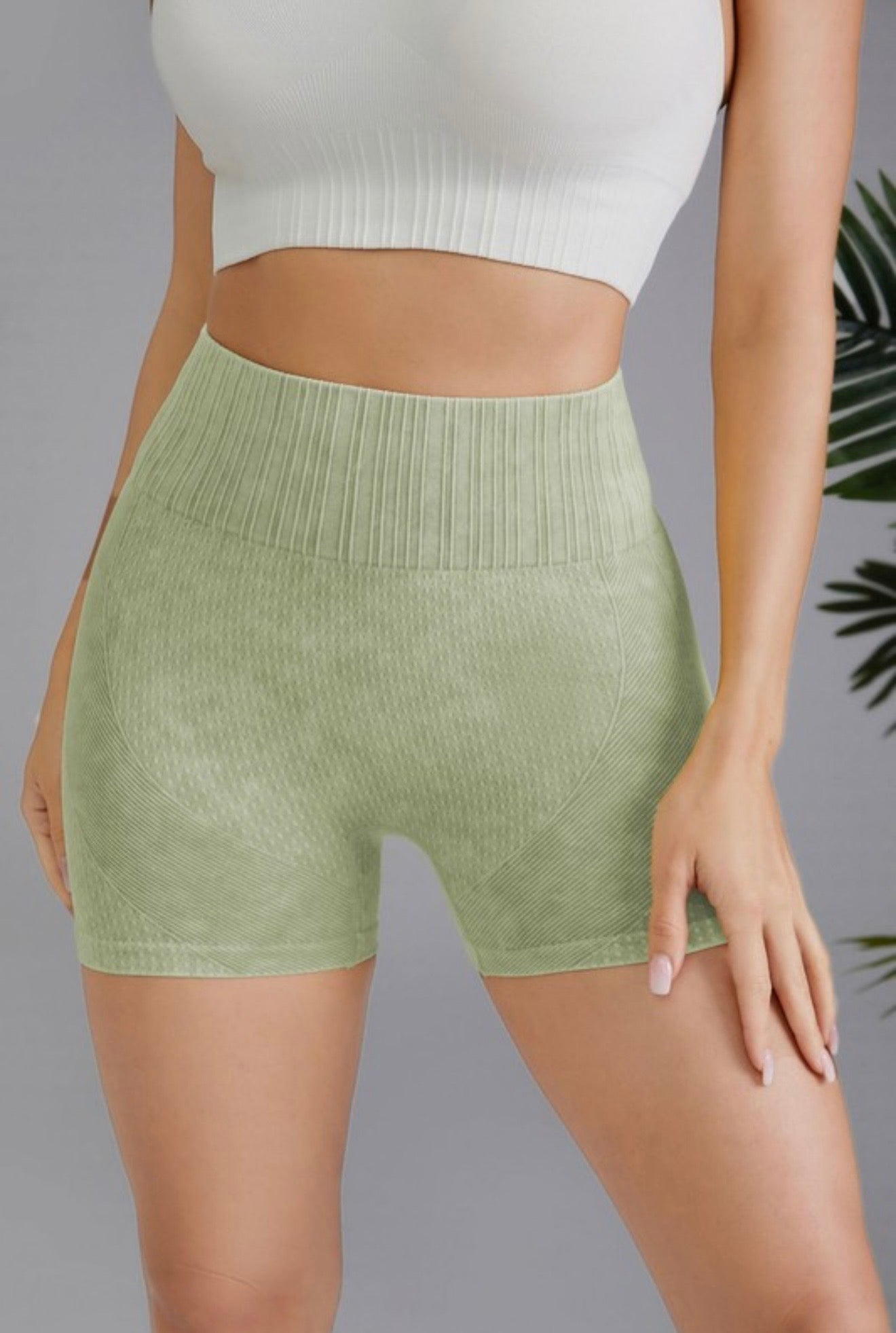 High Waisted Seamless Shorts